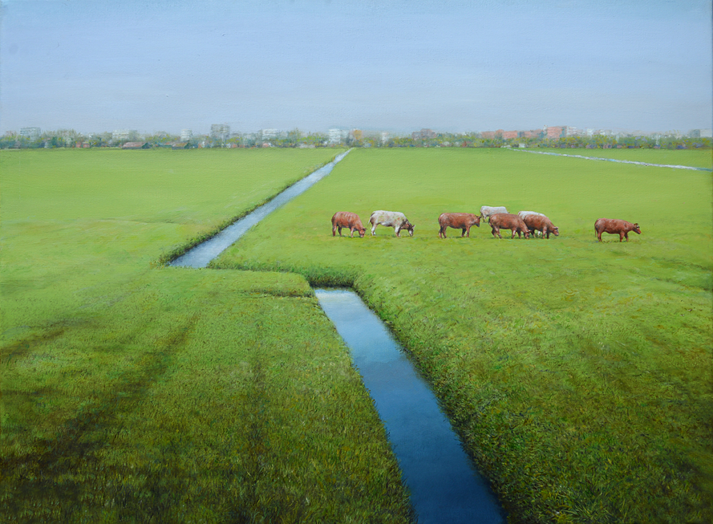 'Cows in polder Ronde Hoep', 60 x 80 cm. Oil on canvas.